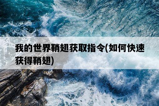 我的世界鞘翅獲取指令，如何快速獲得鞘翅-圖1