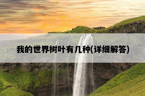 我的世界樹葉有幾種，詳細解答-圖1