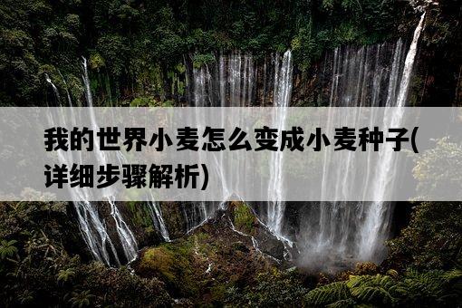 我的世界小麥怎么變成小麥種子,詳細步驟解析-圖1 我的世界小麥怎么變成小麥種子,詳細步驟解析-圖1