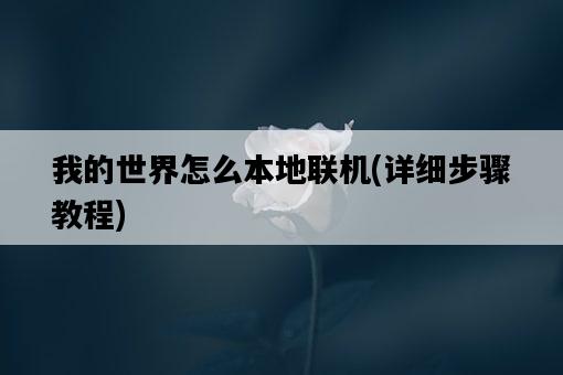 我的世界怎么本地聯機,詳細步驟教程-圖1 我的世界怎么本地聯機,詳細步驟教程-圖1