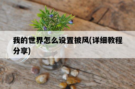我的世界怎么設置披風，詳細教程分享-圖1