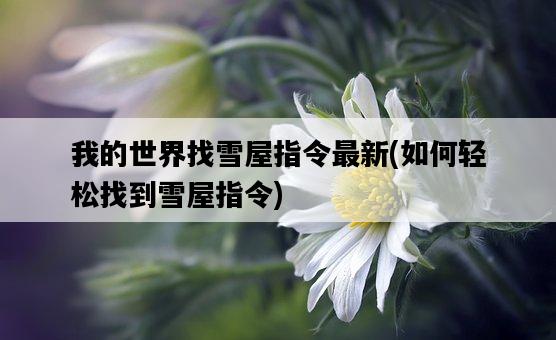 我的世界找雪屋指令最新，如何輕松找到雪屋指令-圖1