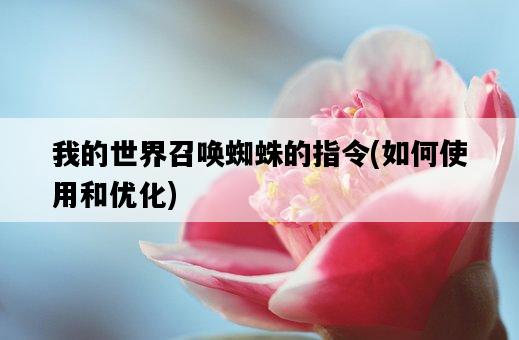 我的世界召喚蜘蛛的指令，如何使用和優化-圖1