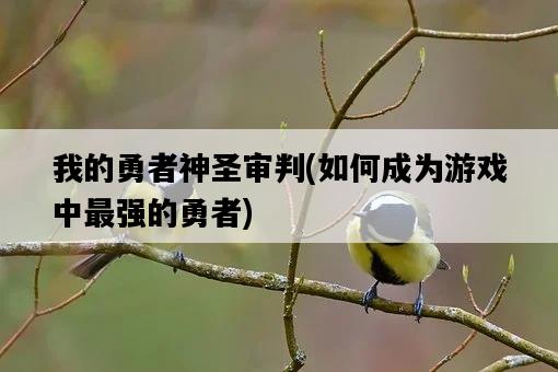 我的勇者神圣審判,如何成為游戲中最強的勇者-圖1 我的勇者神圣審判,如何成為游戲中最強的勇者-圖1