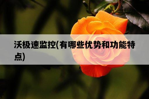 沃極速監控，有哪些優勢和功能特點-圖1