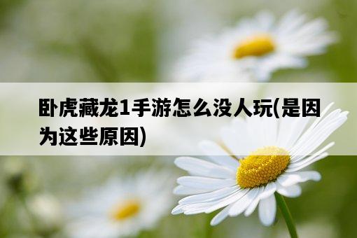 臥虎藏龍1手游怎么沒人玩，是因為這些原因-圖1