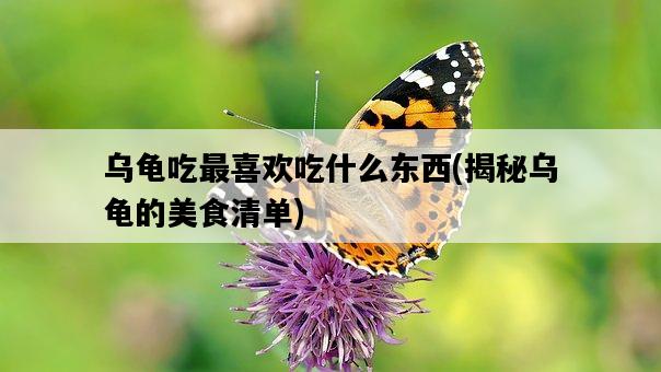 烏龜吃最喜歡吃什么東西,揭秘烏龜的美食清單-圖1 烏龜吃最喜歡吃什么東西,揭秘烏龜的美食清單-圖1