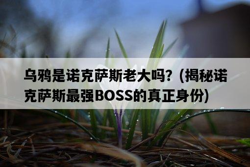 烏鴉是諾克薩斯老大嗎？，揭秘諾克薩斯最強BOSS的真正身份-圖1