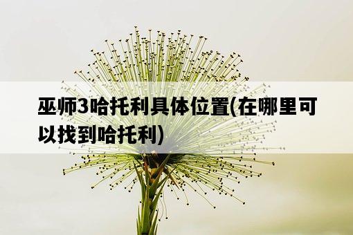 巫師3哈托利具體位置，在哪里可以找到哈托利-圖1