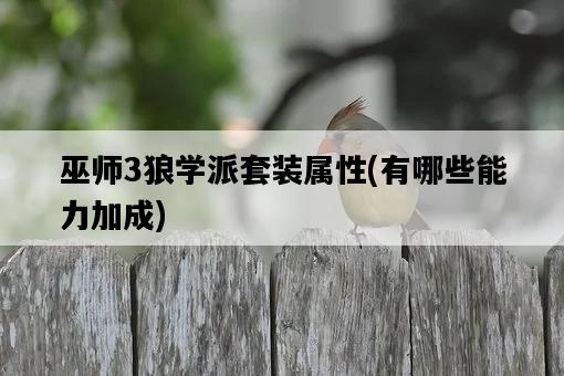 巫師3狼學派套裝屬性，有哪些能力加成-圖1