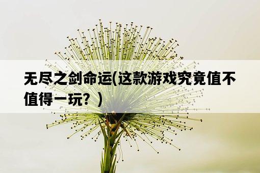 無盡之劍命運，這款游戲究竟值不值得一玩？-圖1