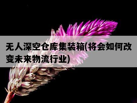 無人深空倉庫集裝箱，將會如何改變未來物流行業-圖1