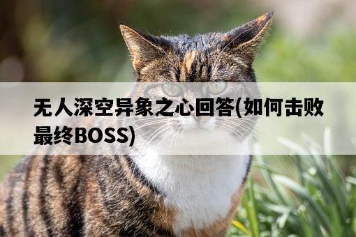 無人深空異象之心回答，如何擊敗最終BOSS-圖1