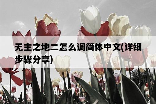 無主之地二怎么調簡體中文，詳細步驟分享-圖1