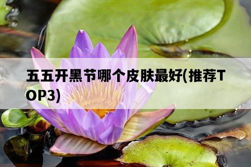 五五開黑節哪個皮膚最好,推薦TOP3-圖1 五五開黑節哪個皮膚最好,推薦TOP3-圖1