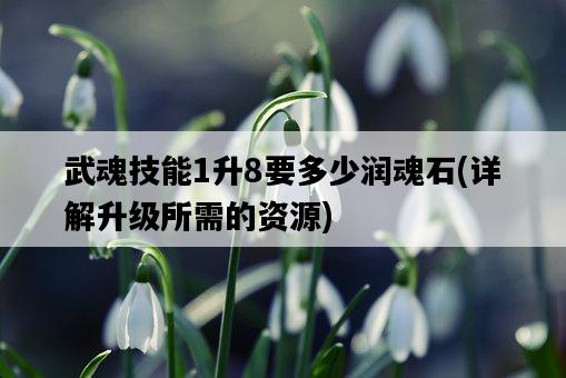 武魂技能1升8要多少潤魂石，詳解升級所需的資源-圖1