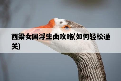 西梁女國浮生曲攻略，如何輕松通關-圖1