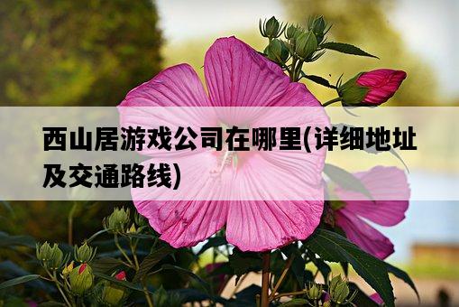 西山居游戲公司在哪里,詳細地址及交通路線-圖1 西山居游戲公司在哪里,詳細地址及交通路線-圖1