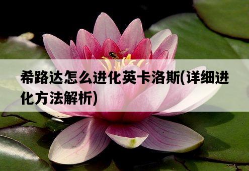 希路達怎么進化英卡洛斯，詳細進化方法解析-圖1