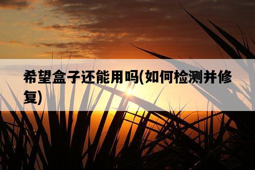 希望盒子還能用嗎，如何檢測并修復-圖1