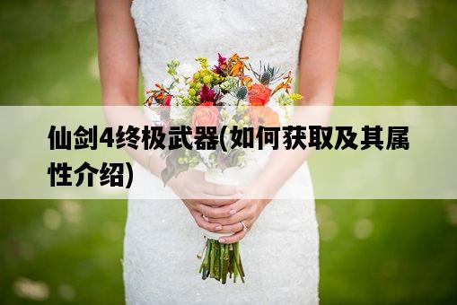 仙劍4終極武器，如何獲取及其屬性介紹-圖1