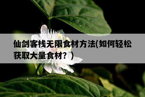 仙劍客棧無限食材方法，如何輕松獲取大量食材？-圖1