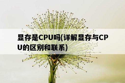 顯存是CPU嗎，詳解顯存與CPU的區別和聯系-圖1