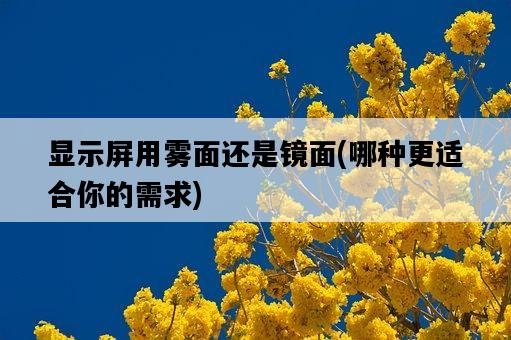 顯示屏用霧面還是鏡面，哪種更適合你的需求-圖1