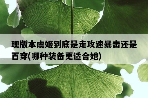 現版本虞姬到底是走攻速暴擊還是百穿，哪種裝備更適合她-圖1