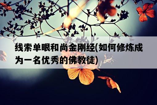 線索單眼和尚金剛經,如何修煉成為一名優秀的佛教徒-圖1 線索單眼和尚金剛經,如何修煉成為一名優秀的佛教徒-圖1