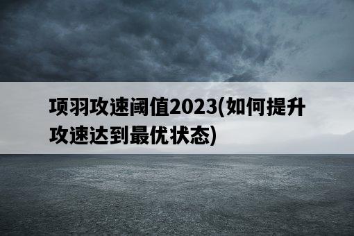 項羽攻速閾值2023,如何提升攻速達到最優狀態-圖1 項羽攻速閾值2023,如何提升攻速達到最優狀態-圖1