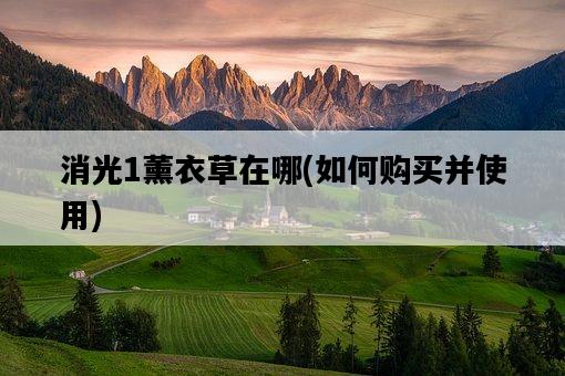 消光1薰衣草在哪，如何購買并使用-圖1