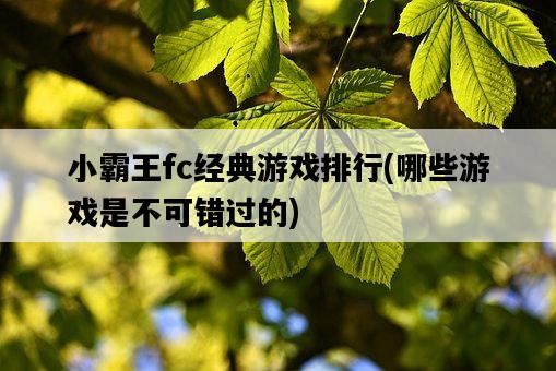 小霸王fc經典游戲排行,哪些游戲是不可錯過的-圖1 小霸王fc經典游戲排行,哪些游戲是不可錯過的-圖1