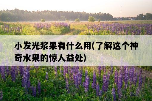 小發光漿果有什么用，了解這個神奇水果的驚人益處-圖1