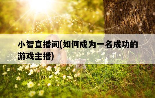 小智直播間,如何成為一名成功的游戲主播-圖1 小智直播間,如何成為一名成功的游戲主播-圖1