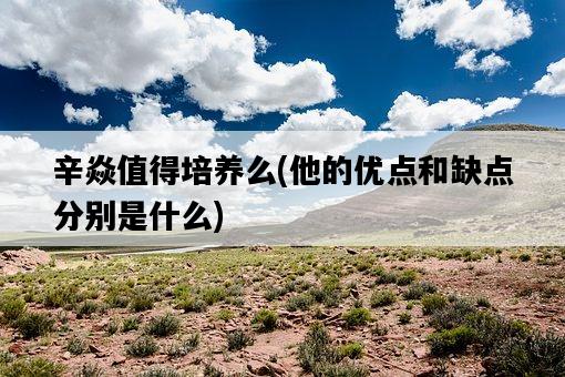 辛焱值得培養么,他的優點和缺點分別是什么-圖1 辛焱值得培養么,他的優點和缺點分別是什么-圖1