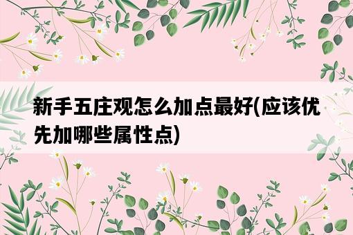 新手五莊觀怎么加點最好，應該優先加哪些屬性點-圖1