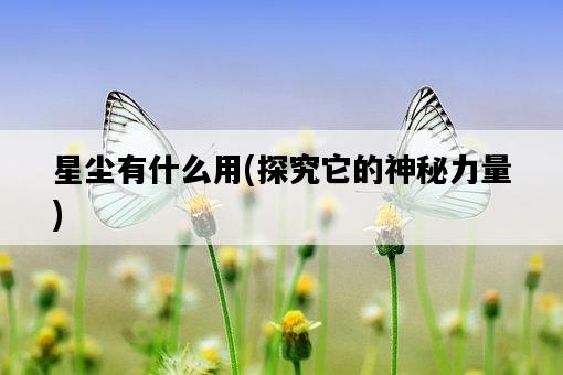 星塵有什么用，探究它的神秘力量-圖1
