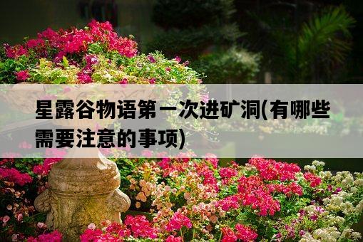 星露谷物語第一次進礦洞,有哪些需要注意的事項-圖1 星露谷物語第一次進礦洞,有哪些需要注意的事項-圖1