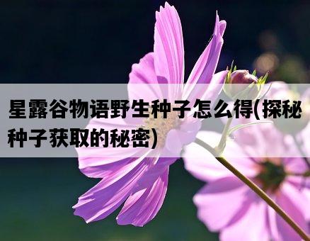 星露谷物語野生種子怎么得，探秘種子獲取的秘密-圖1