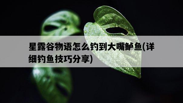 星露谷物語怎么釣到大嘴鱸魚,詳細釣魚技巧分享-圖1 星露谷物語怎么釣到大嘴鱸魚,詳細釣魚技巧分享-圖1