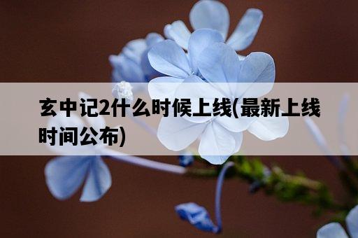 玄中記2什么時候上線,最新上線時間公布-圖1 玄中記2什么時候上線,最新上線時間公布-圖1