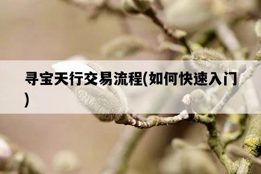 尋寶天行交易流程，如何快速入門-圖1