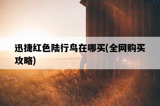 迅捷紅色陸行鳥在哪買,全網購買攻略-圖1 迅捷紅色陸行鳥在哪買,全網購買攻略-圖1