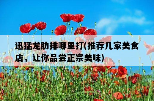 迅猛龍肋排哪里打，推薦幾家美食店，讓你品嘗正宗美味-圖1