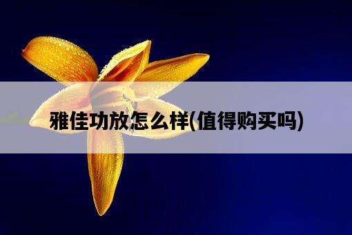 雅佳功放怎么樣，值得購買嗎-圖1