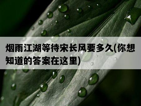 煙雨江湖等待宋長風要多久，你想知道的答案在這里-圖1