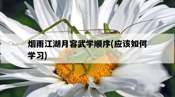 煙雨江湖月容武學順序，應該如何學習-圖1