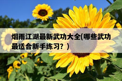 煙雨江湖最新武功大全，哪些武功最適合新手練習？-圖1