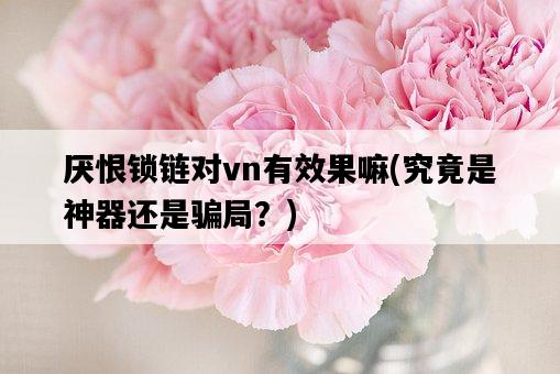 厭恨鎖鏈對vn有效果嘛，究竟是神器還是騙局？-圖1